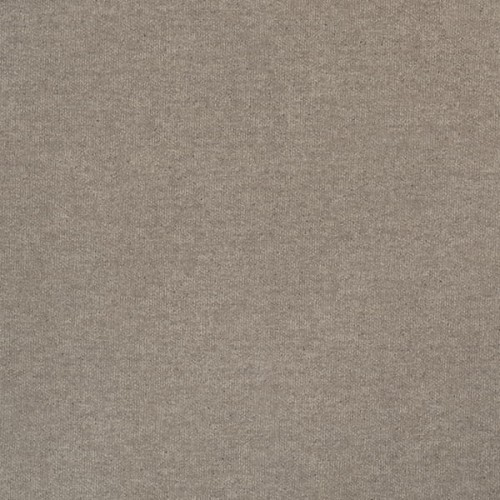FC 26 Alpaca-Alpaca Tollegno.jpg